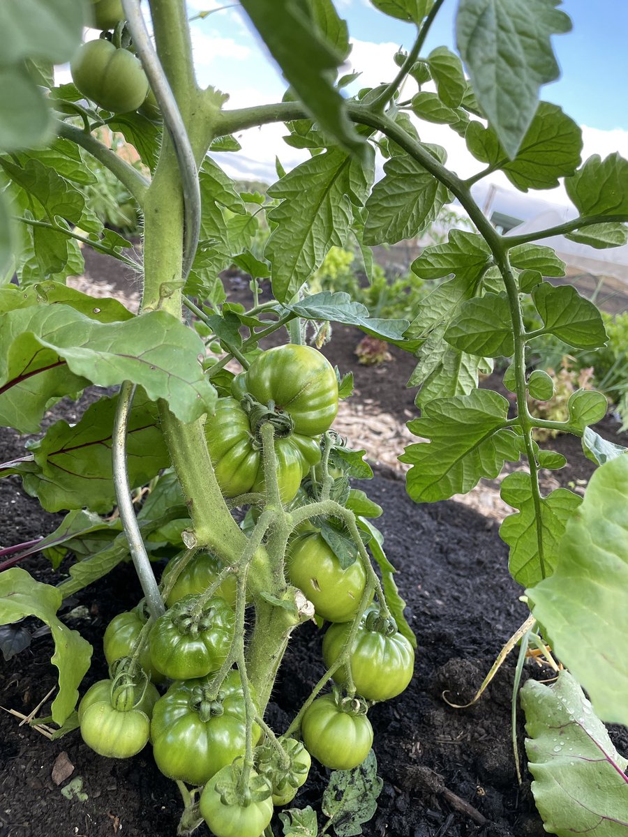 Fred Berkmiller tweet media