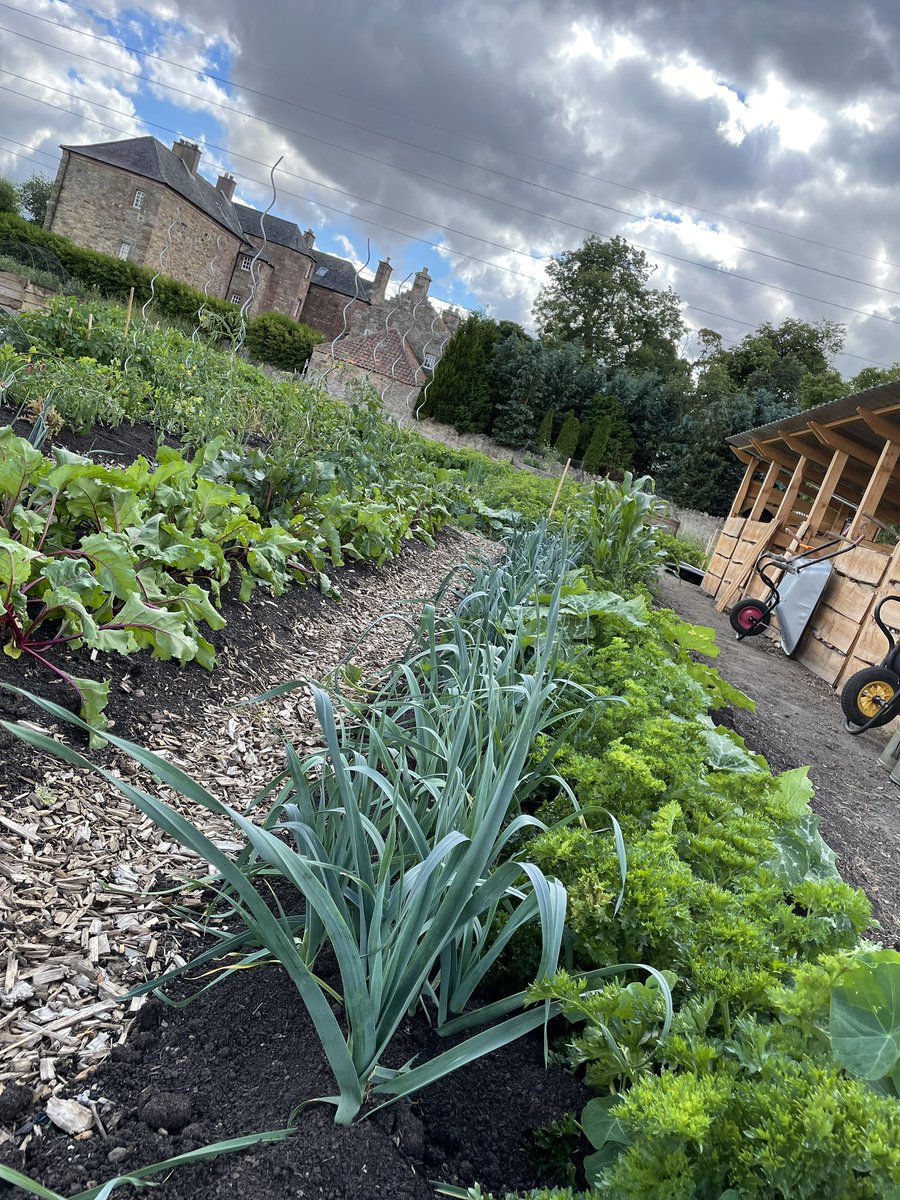 Fred Berkmiller tweet media