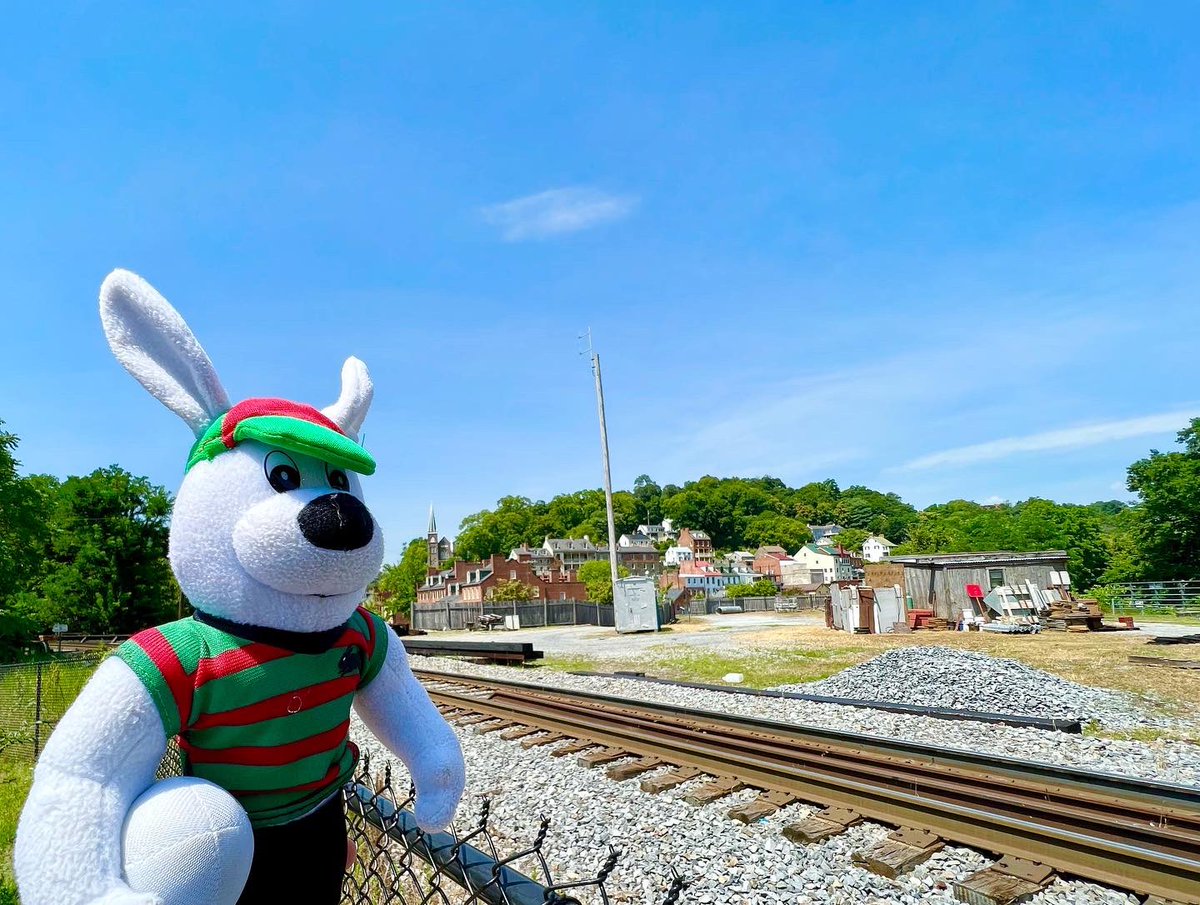 TravelWithJared's tweet photo. @willgots15 @SSFCRABBITOHS This proud #Rabbitohs fan and #ReggieRabbit makes his first ever visit to #HarpersFerry in #WestVirginia! #TravelingWithJared #ReggieRoundTheWorld #RabbitohsRoundTheWorld https://t.co/9Vn7H3sJhK