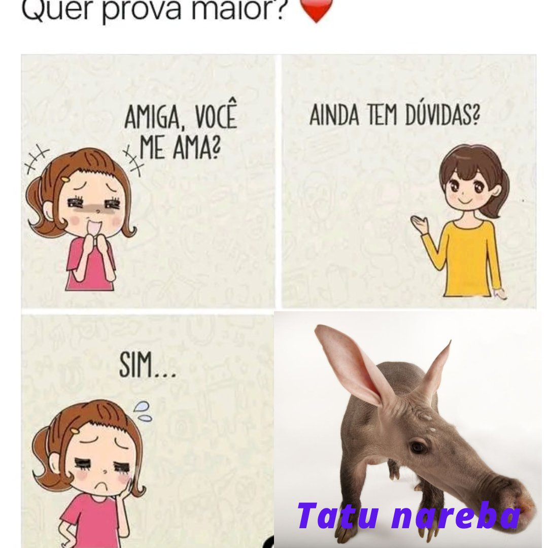 você é Calvo (@jl62792115) on Twitter photo 