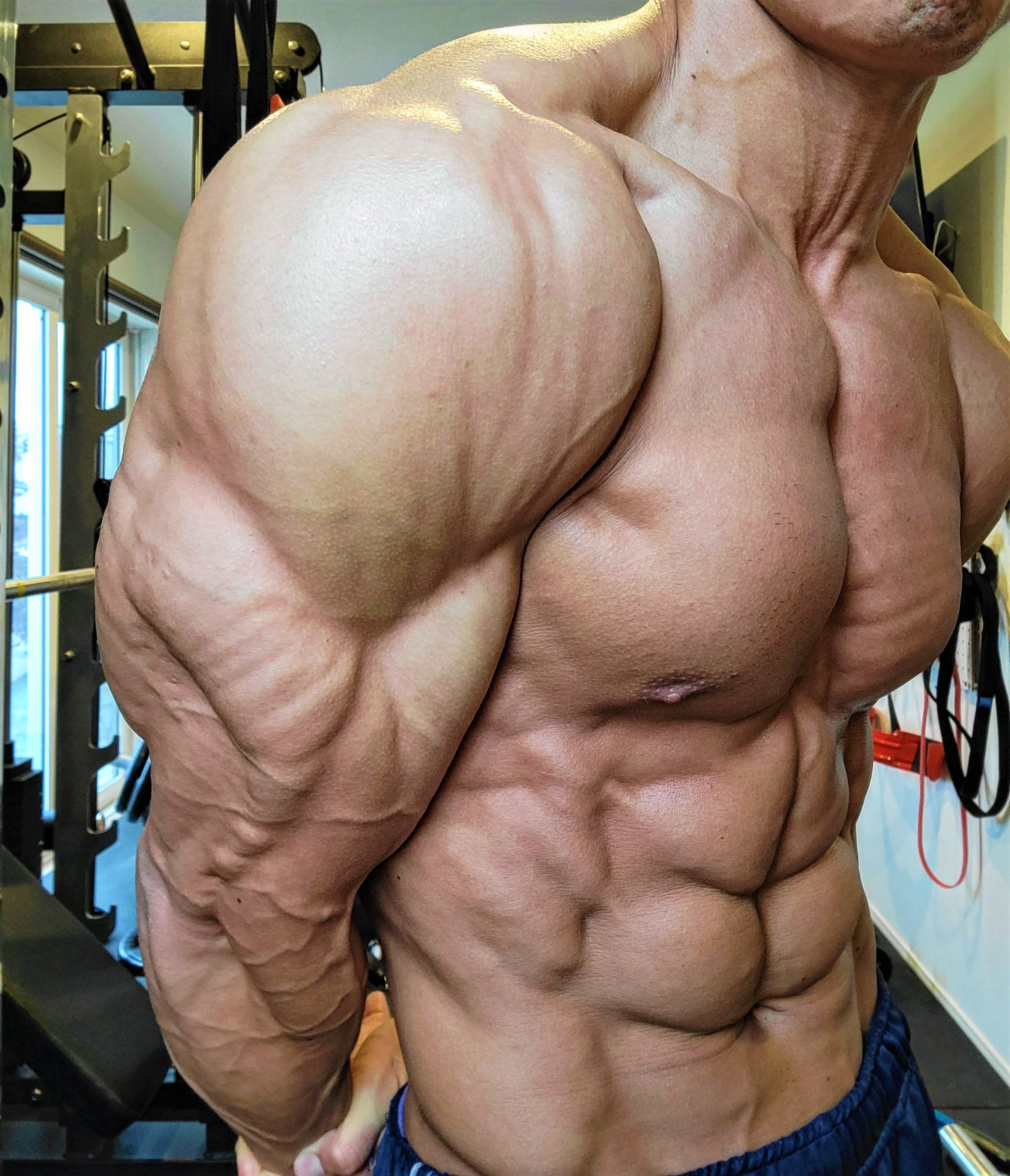 マルチケーブルギア ナルシス山本 トレーニング