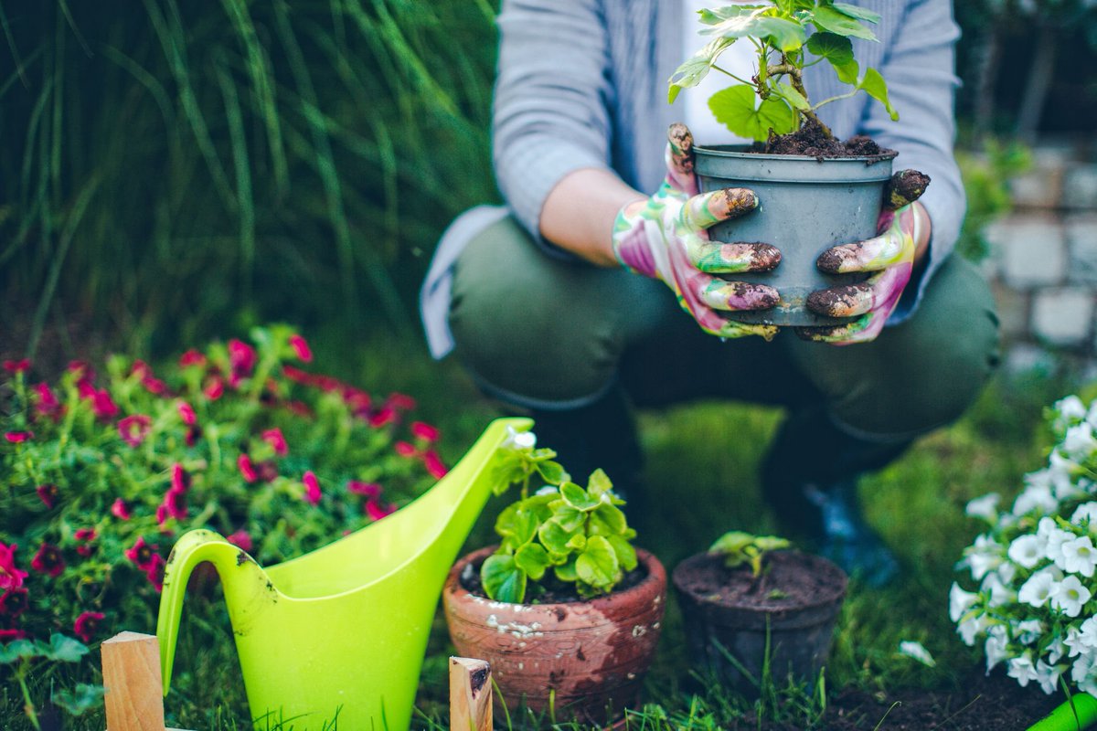 AkhilJose1970's tweet photo. "I hate the smell of fresh, wet mud." said no one ever! And that is exactly how I set off on my journey towards Gardening. #MARK1051 #GardenersWorld #Gardening101 https://t.co/COcX8P1EBR