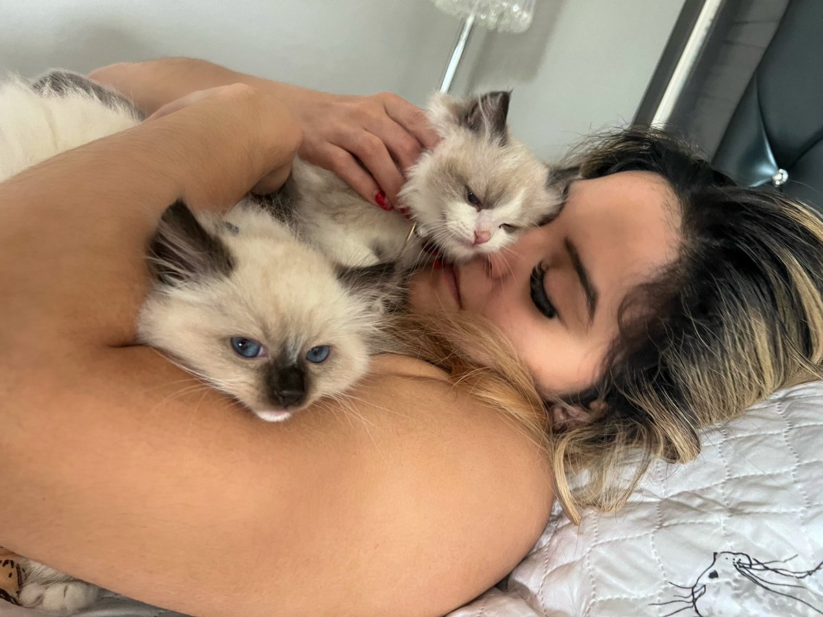 taymelo's tweet photo. Turns out I have cat allergies.. to bad for my body bc it will need to adapt, my cats are going no where but into my arms 🤷‍♀️ ❤️❤️❤️ https://t.co/NsgrOtA6rz