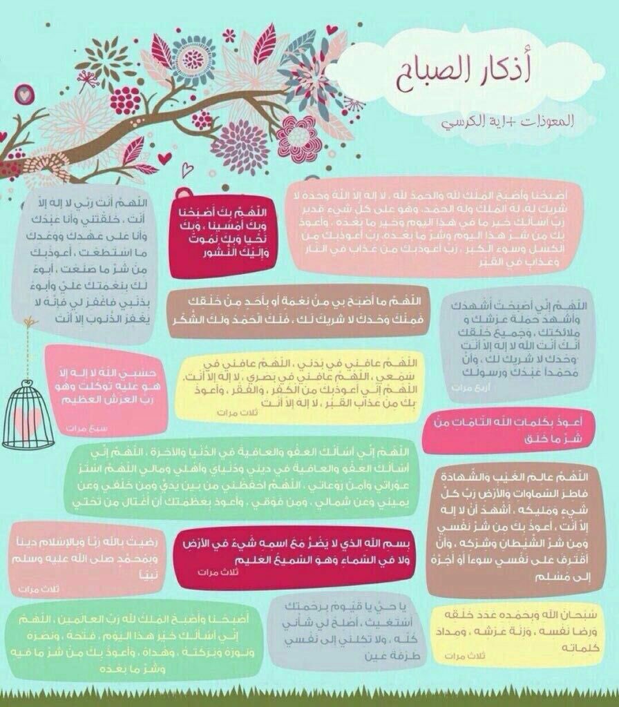 ryoof_az1's tweet photo. اذكاركم حصنكم🍃 https://t.co/39hZ2Ma64l