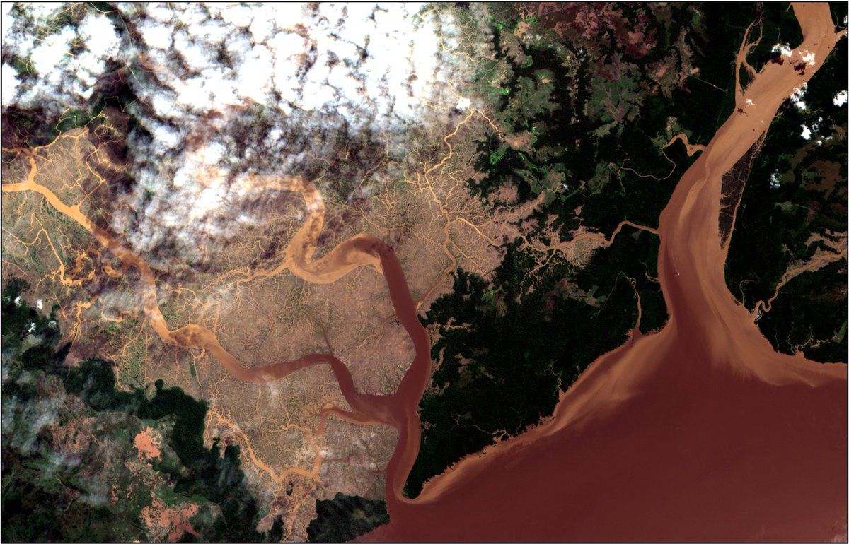 CoalaH2020's tweet photo. #WhereamIWednesday
Todays image shows us #deforestation and change. In the false colour composite we can see the darker greens and reds showing cleared land.

Bonus Question!
What do you think is the cause of the chocolate coloured river? 🤔🍫

🛰️#Sentinel2 https://t.co/nuyP7aelPE