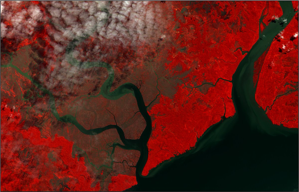CoalaH2020's tweet photo. #WhereamIWednesday
Todays image shows us #deforestation and change. In the false colour composite we can see the darker greens and reds showing cleared land.

Bonus Question!
What do you think is the cause of the chocolate coloured river? 🤔🍫

🛰️#Sentinel2 https://t.co/nuyP7aelPE