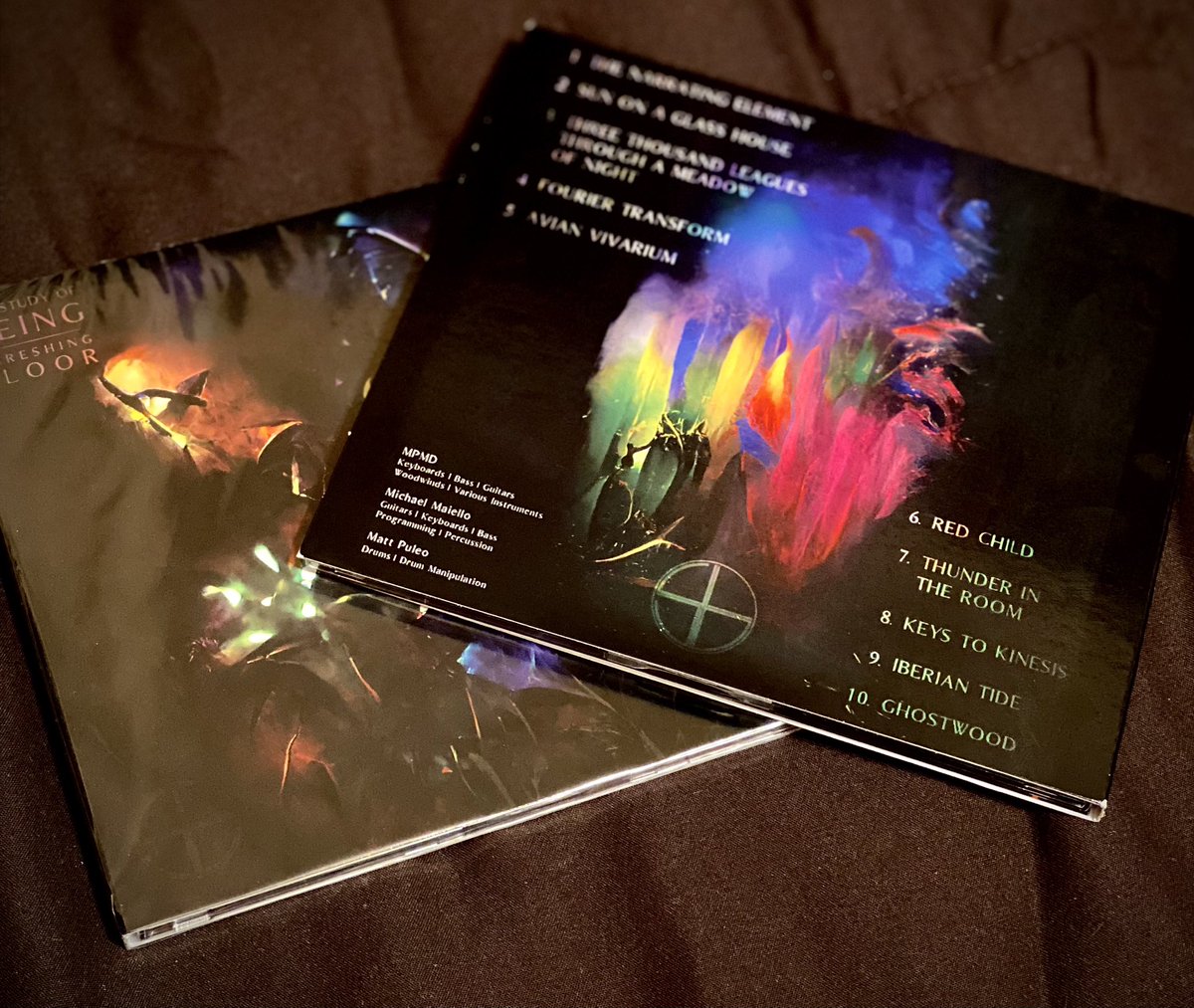 The Study Of Being tweet media