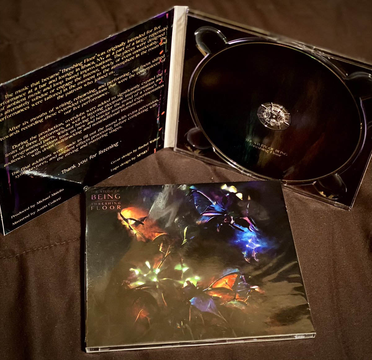 The Study Of Being tweet media