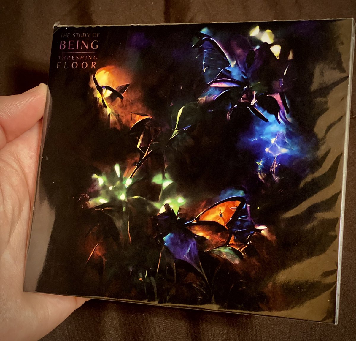 The Study Of Being tweet media