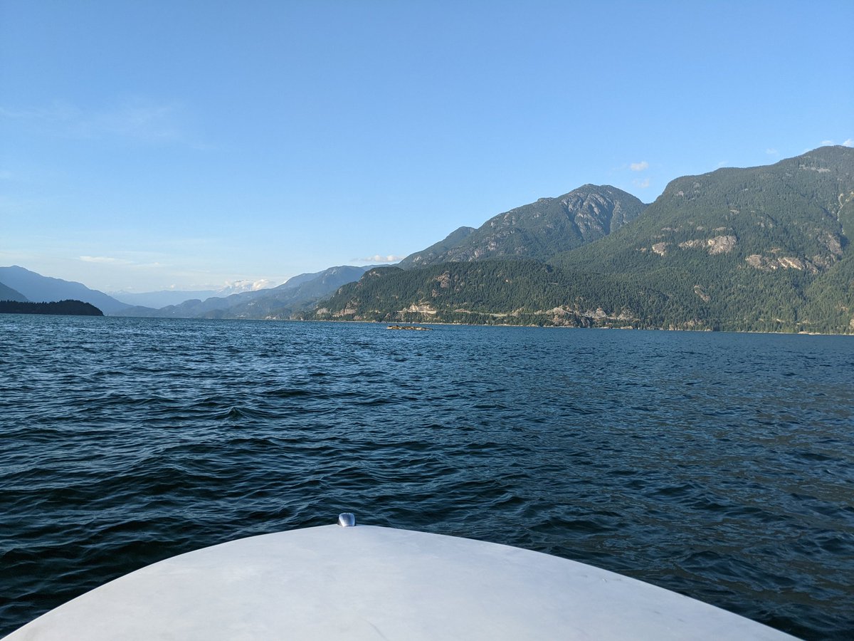 Nik Cheng tweet media