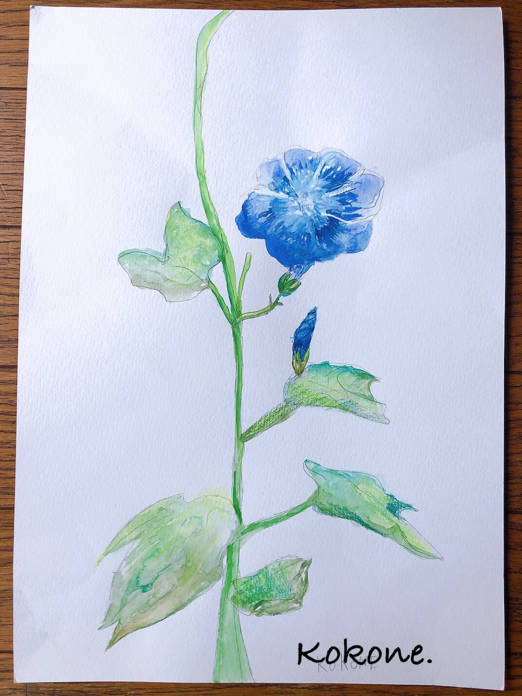 Aritist Twitter Search Twitter