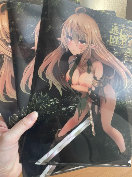 クリアファイル届いた(`・ω・') 