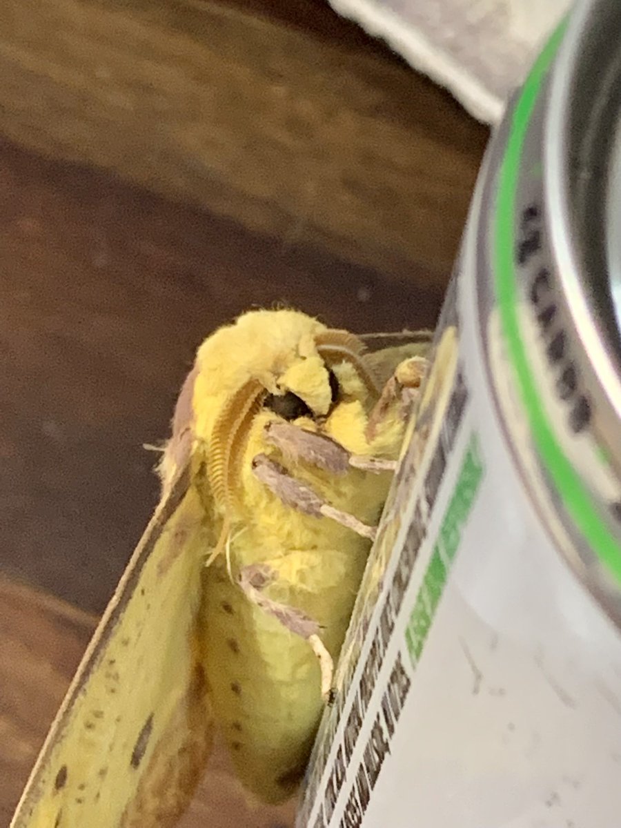 Cameron Ogg tweet media