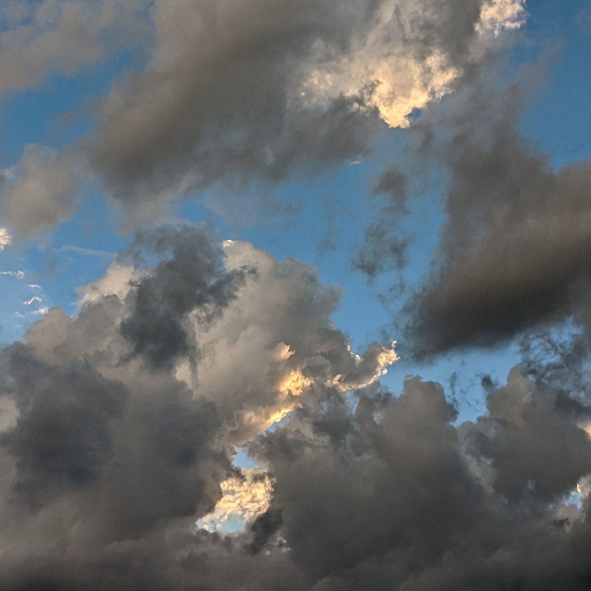 lyd_meier's tweet photo. my dad and I just took a combined 197 photos of the clouds https://t.co/1CzxoF2dlF