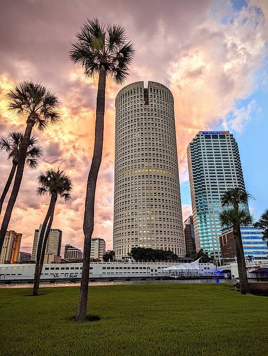 takemytrip's tweet photo. New artwork for sale! - "Towering Palms and Downtown Tampa" - https://t.co/mgWgNLTgvU @fineartamerica https://t.co/cvXafoHPEJ