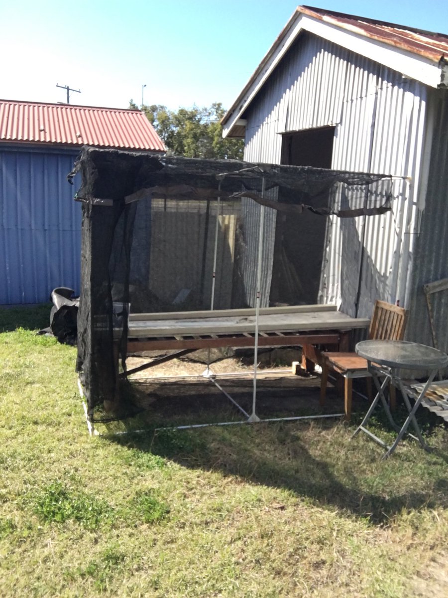 H4rdh34dS5's tweet photo. #Greenhouse stage 1 complete. #growfresh https://t.co/WcpZqqi1Jc