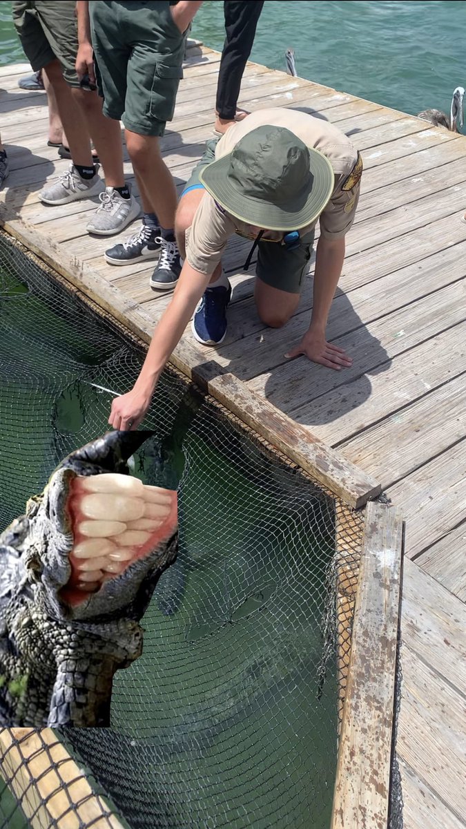 Stanotube Nation tweet media