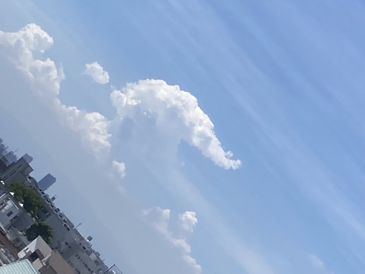 先日の雲です。

雲を根に富士は杉形の茂りかな
芭蕉

この雲は……、ゾウ？かな？

#芭蕉　#俳句　#夏空