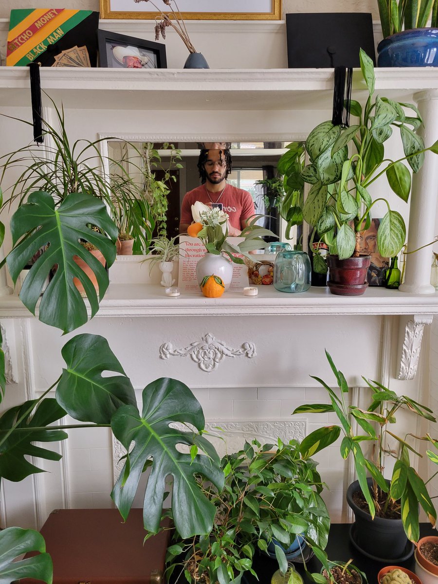 SwankyKindaGuy's tweet photo. From the random assortment of my houseplants to the precise set ups in lab, I love growing #PlantsInside #BlackBotanistsWeek2022 https://t.co/YiNlftb43s