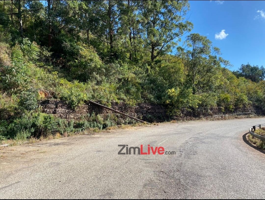 zimlive's tweet photo. NYANGA BUS DISASTER REQUIEM: On this day 3 August 32 years on, 89 school children and teachers from Nyanga Regina Coeli Catholic school died in the worst road accident in Zimbabwe's history. Their names are engraved in the local church and the dark spot remains unapproachable. https://t.co/hszt9t70Kq