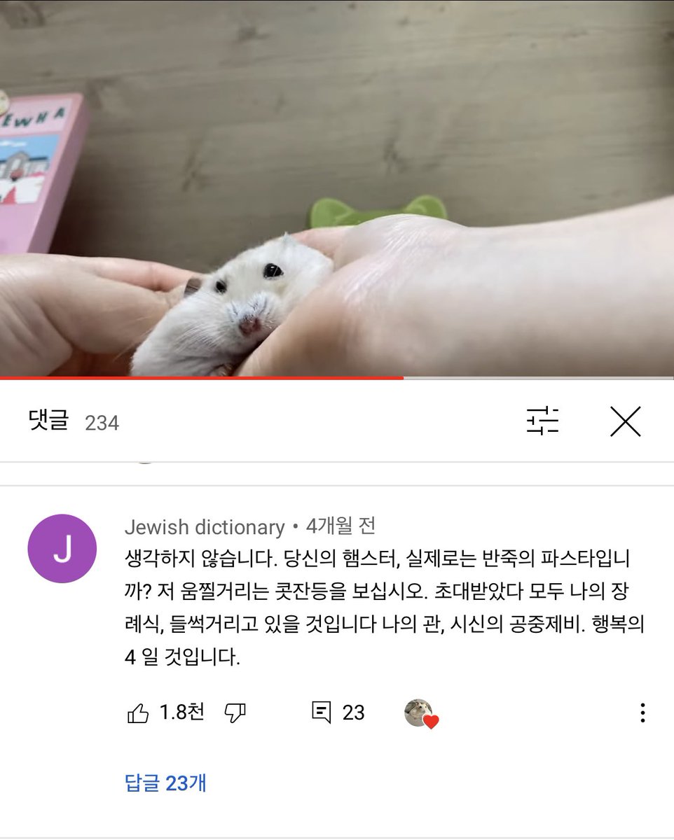 햄스터채널에 외국인이 귀엽다고 쓴 댓글 주접 폭발함 ㅋㅋㅋㅋㅋ