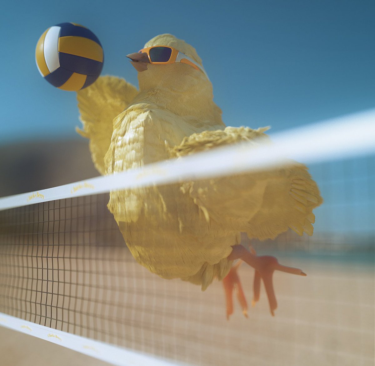 🐣 Chicks Berry 🐣 tweet media