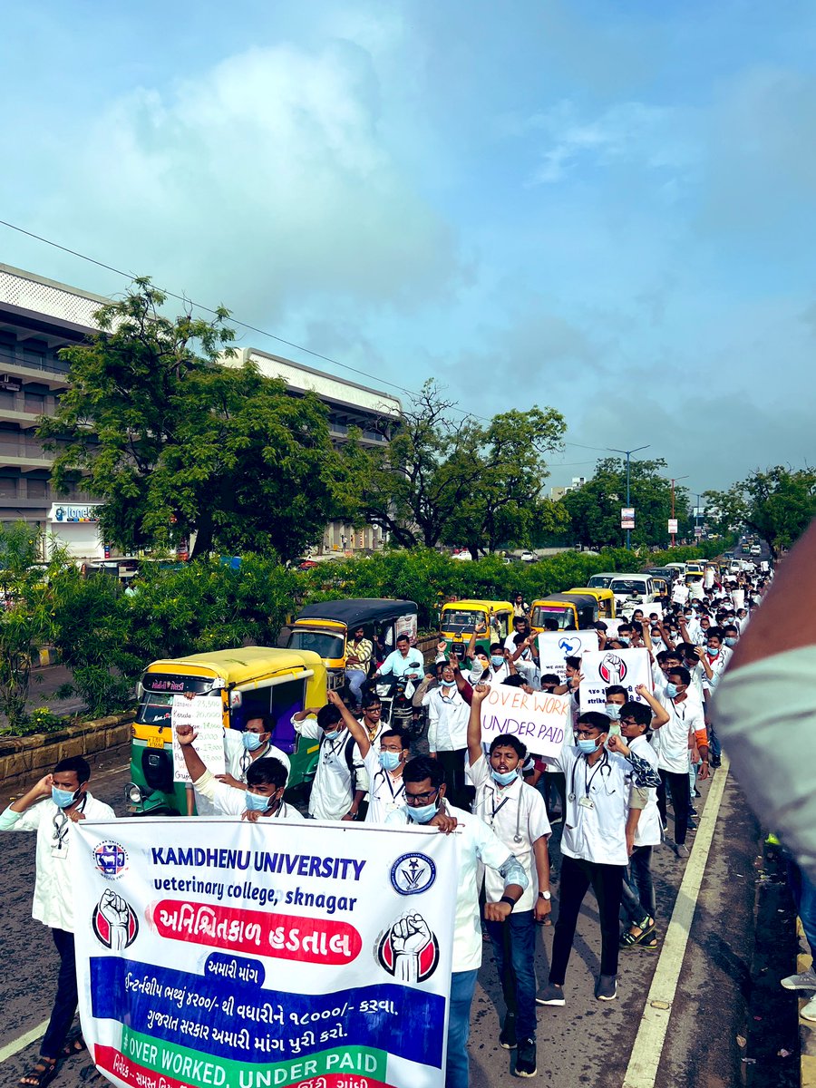 Today,in Palanpur students of Dantiwada Veterinary College held a rally against the low stipend given by Gujarat Gov.
#Increase_Guj_Vet_Stipend 
#Guj_vet_union 
#Guj_veterinary_students_on_strike