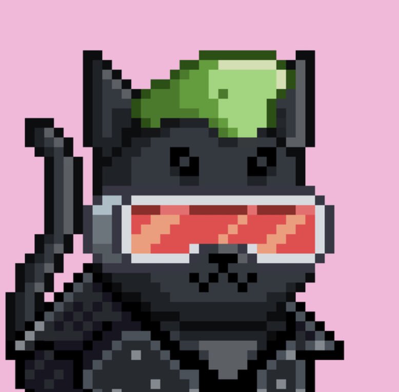 jenpiru_'s tweet image. Just picked up my 3rd @MooncatzNFT because @JamesCiesluk has been an amazing founder, always giving back to the #mooncatz community🐱
And, I have a thing for pink/mohawk 🥰 meowwww~ 🫶🏼💗
#hawkgang #NFTCommunity