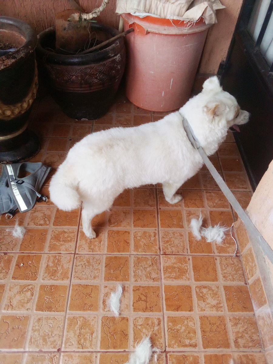 Francis Buyike (@fbuyike) on Twitter photo 