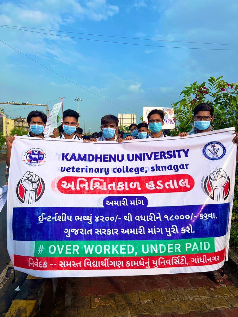 Dantiwada Veterinary College held a rally against the low stipend given by Gujarat Gov. We want justice 💪💪💪💪💪
#Increase_Guj_Vet_Stipend 
#Guj_vet_union 
#Guj_veterinary_students_on_strike