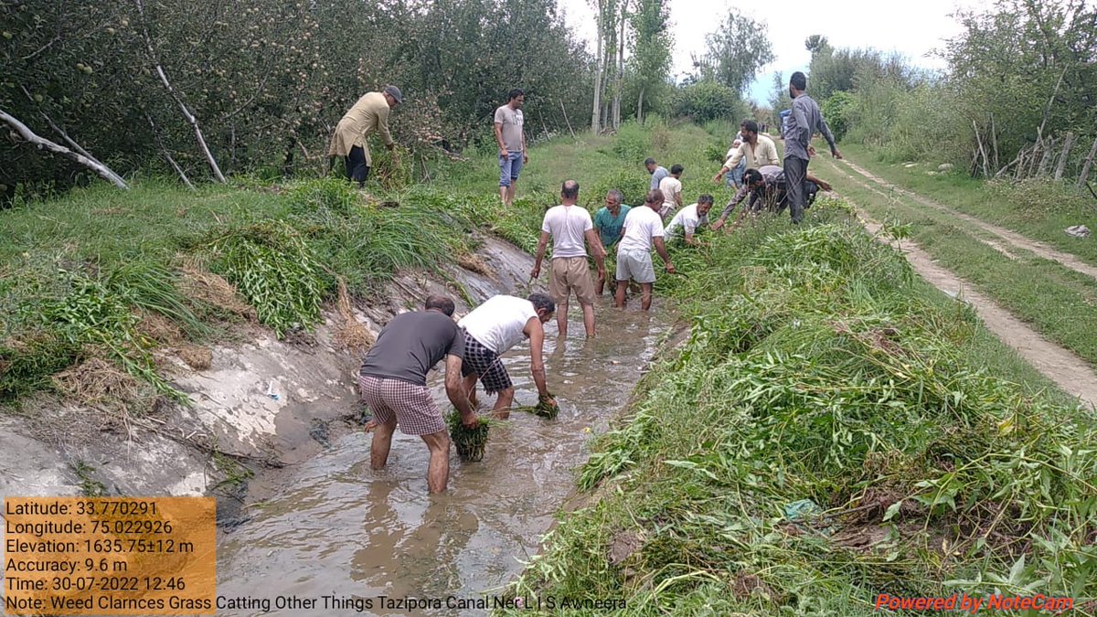 ShopianDivision's tweet photo. Weed clearance on Tazipora canal at Zainapora near LIS Awneera. https://t.co/C4BmLbVSTY