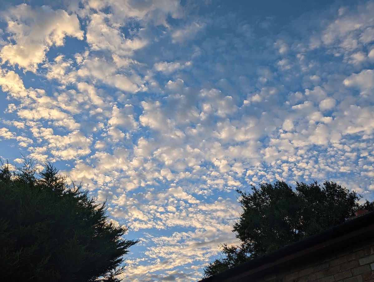 catrionacurator's tweet photo. Baby + baby's view. Makes the early mornings very worthwhile #FenSkies #RainbowBaby https://t.co/rKFL21bvKE