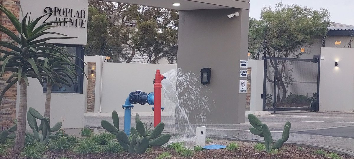 JacquesBreyten5's tweet photo. @JHBWater 
Water has been gushing out of the hydrant at 2 Poplar Avenue, Craigavon since around 22h30 last night. https://t.co/bL2TamZzQn