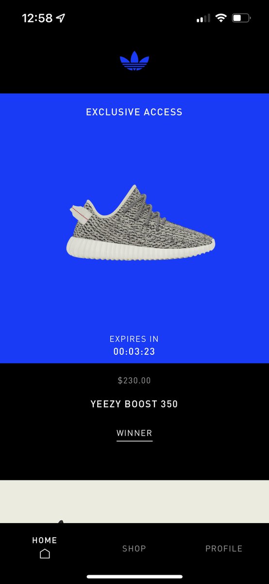 313Will1215's tweet photo. @theyeezymafia Size 6 $400 https://t.co/WK1oiHda7J