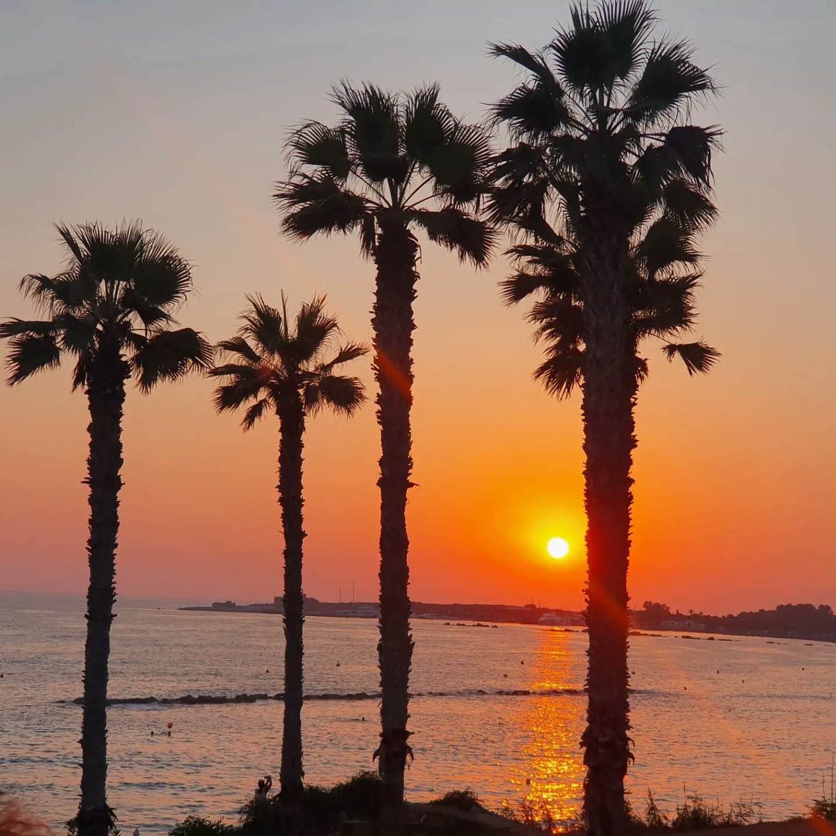 Evi Kyprianou (@evikypr) on Twitter photo 