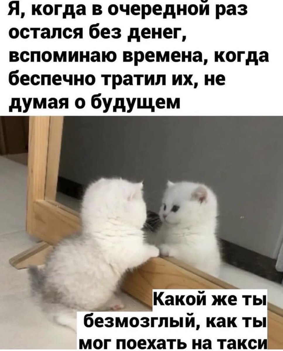 treschenko24's tweet photo. Признавайтесь, кто? https://t.co/XxXOvXDc3b