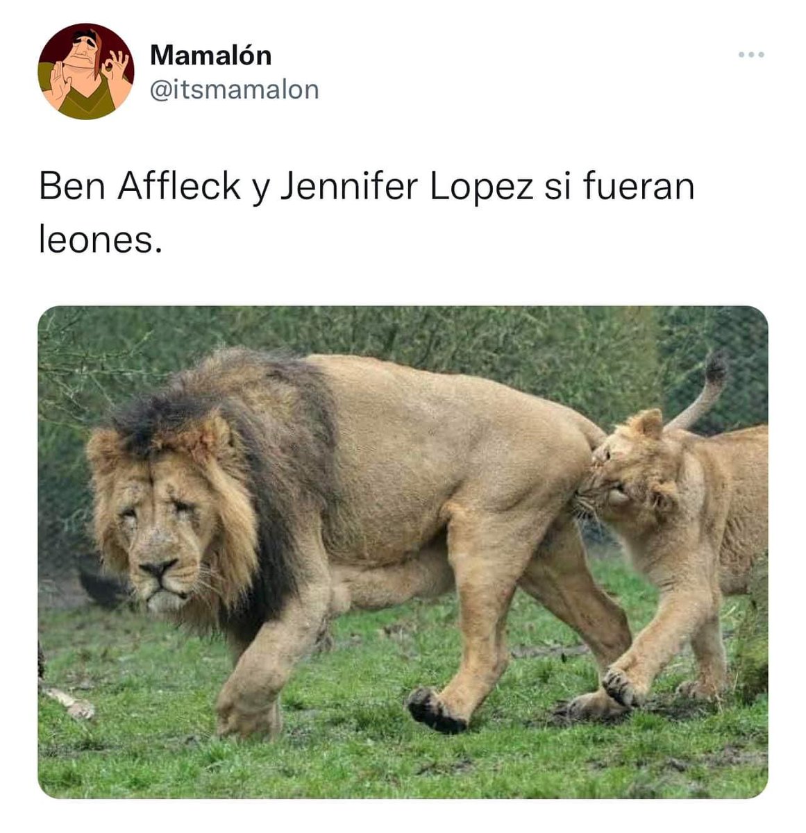 NoticiasMundoP1's tweet photo. Aquí amamos los #MEMES de la luna de miel de #jlo y #BenAffleck en #Paris
(Hilo 🧵🧵🧵)
#JenniferLopez #benifer https://t.co/K5VpXygQjn