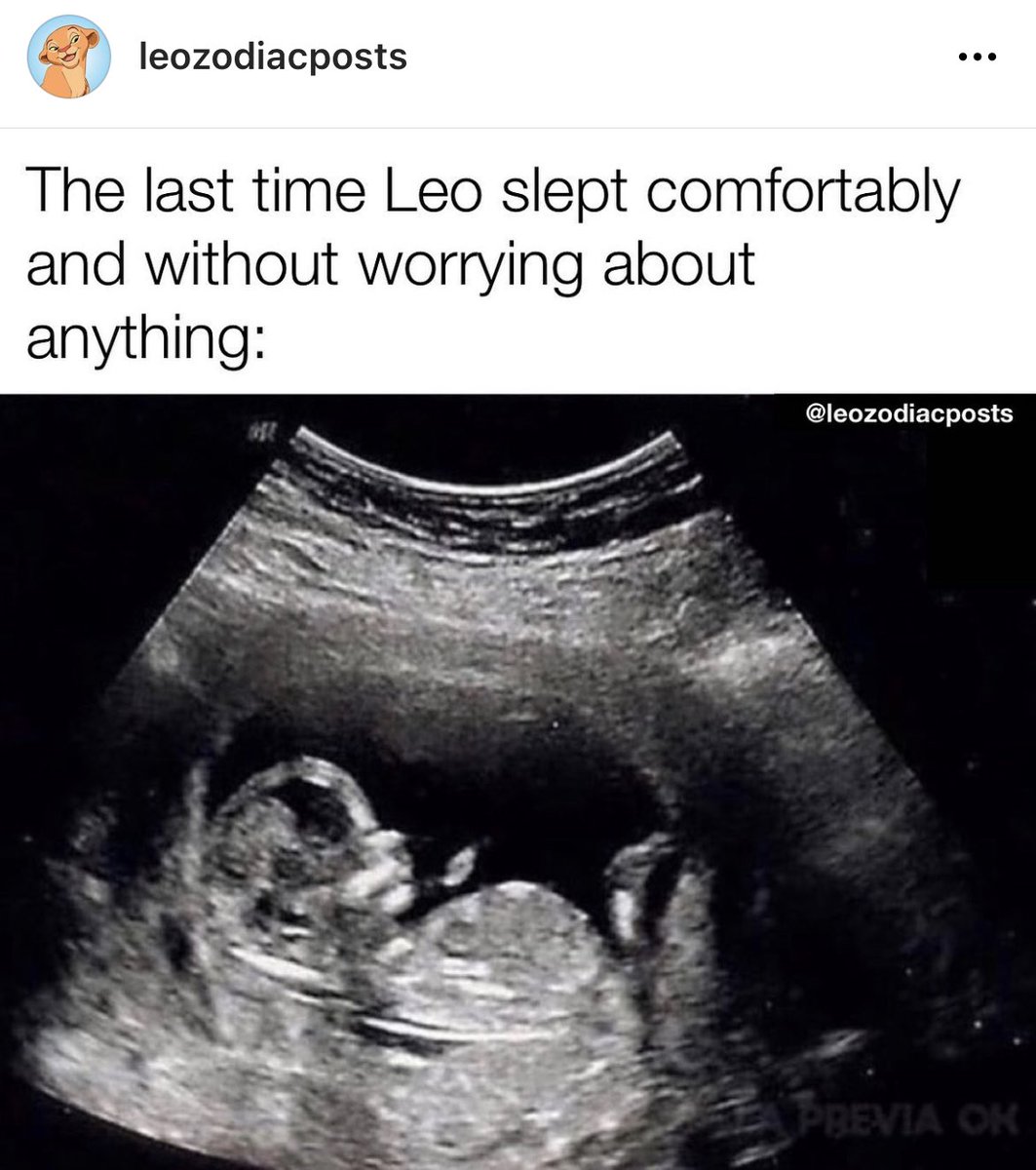 Leo_Tweets's tweet image. #Leoseason is HERE 🦁😈 follow leozodiacposts on Instagram for all things #Leo