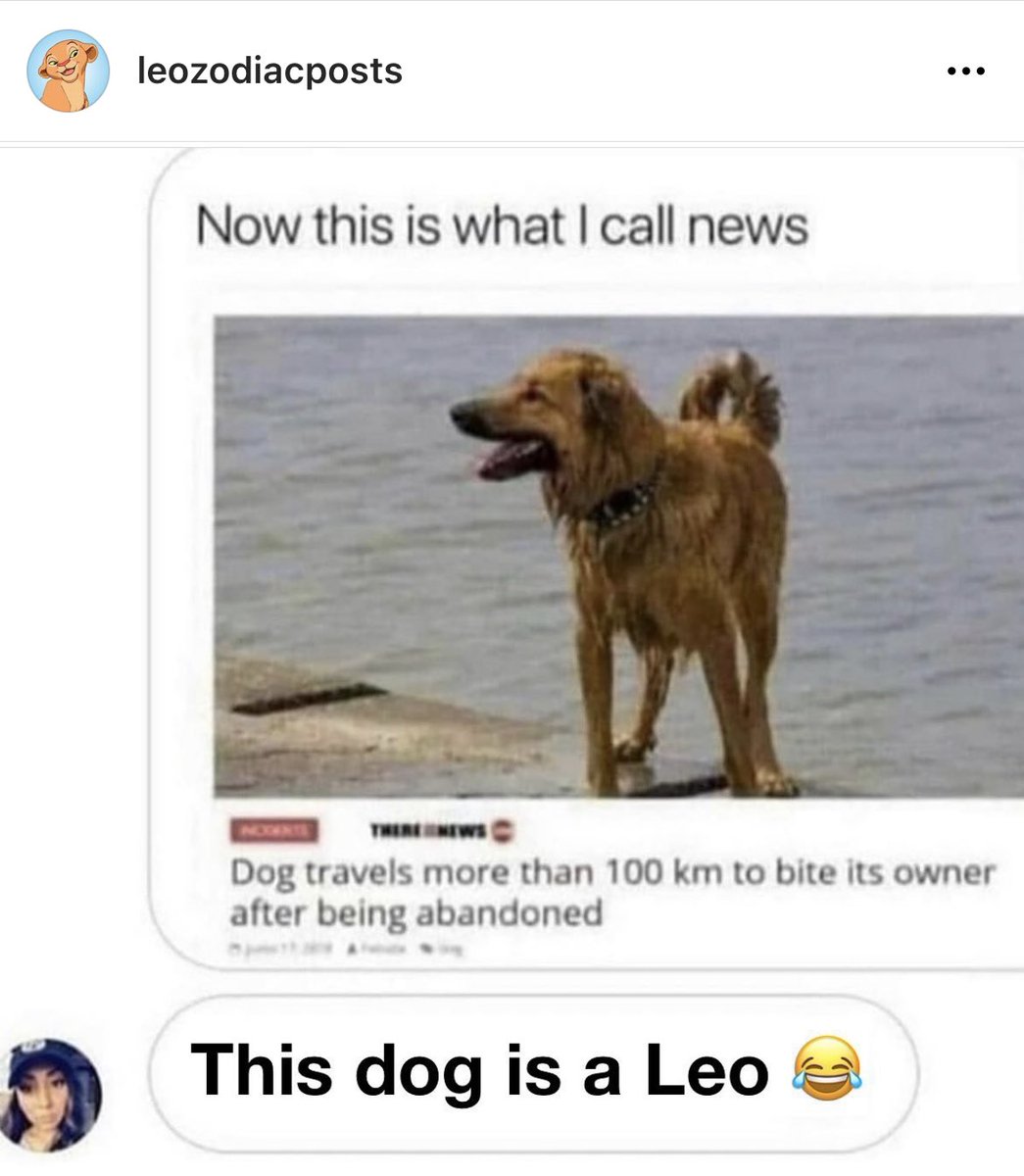 Leo_Tweets's tweet image. #Leoseason is HERE 🦁😈 follow leozodiacposts on Instagram for all things #Leo