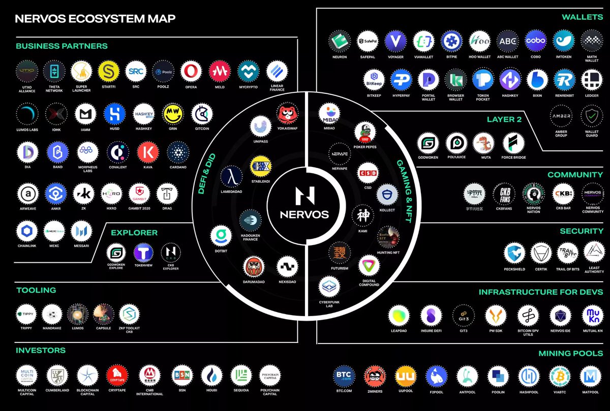 DoberCrypto 🔥💯 tweet media