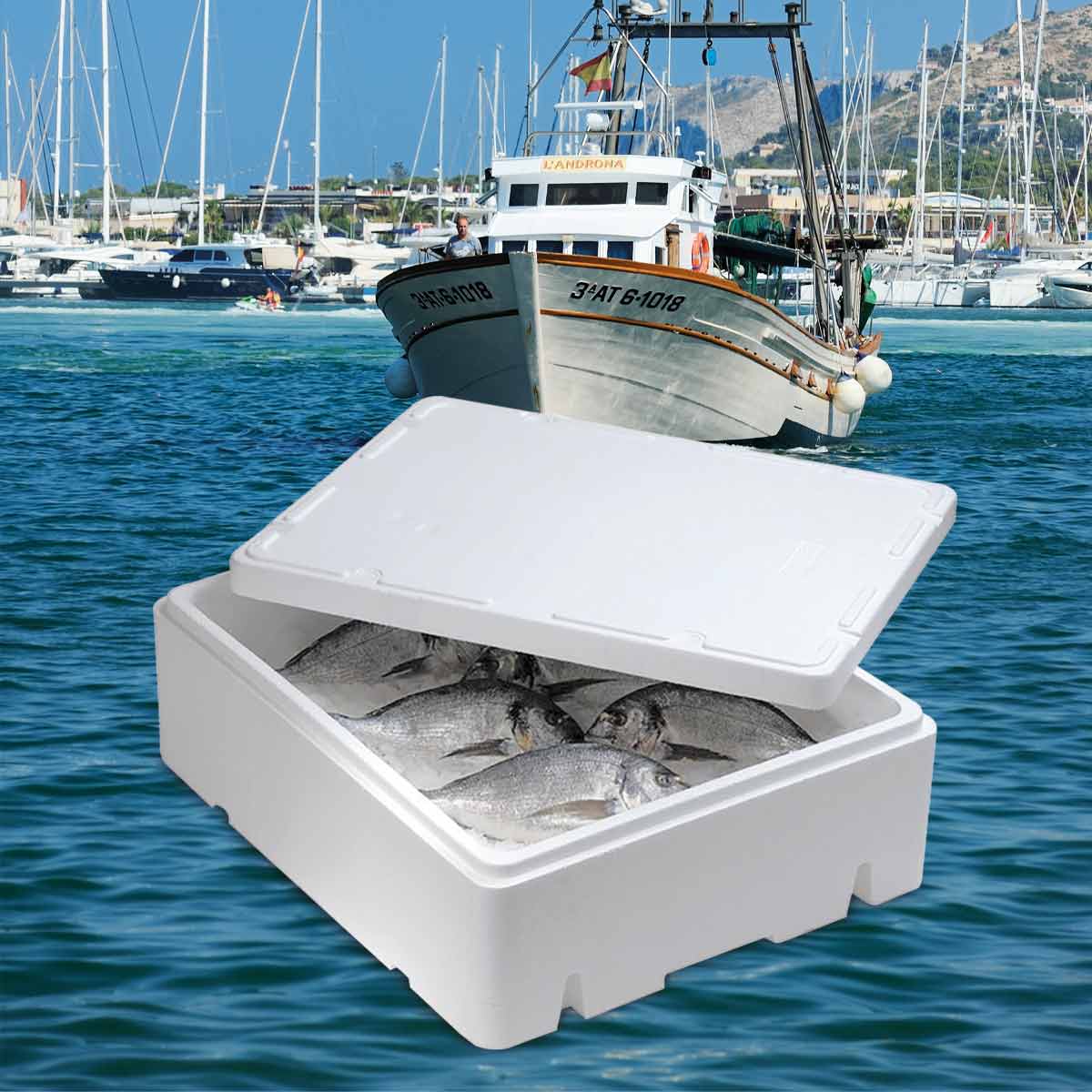 Las Cajas térmicas de  #EPS son perfectas para transportar #pescado. Protegen en 🚚#logistica de: impactos y cambios de temperatura. El #EPS es ideal por el:
1.-🌡️#AislamientoTérmico
2.- 👊 i#absorción de impactos 
3.- 🤢 su #inocuidad. 
+ en: bit.ly/3oHhK59