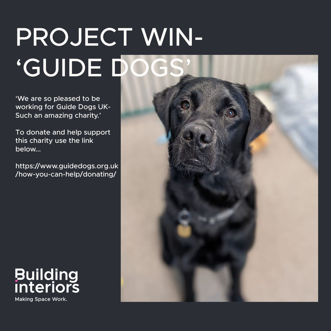 A BIG welcome to our new neighbours at Bramley Grange, Thorner🦮

We are so pleased to be working for Guide Dogs UK- such an amazing charity.

To Donate and help support this charity use the link below....
guidedogs.org.uk/donate-now/

#commericalfitout #officedesign #interiordesign