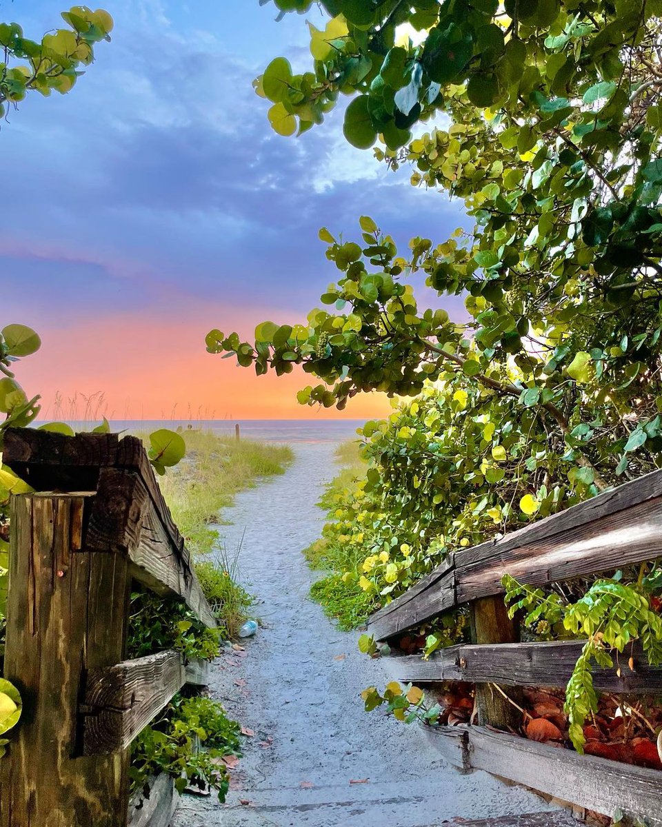 Anna Maria Island Chamber tweet media