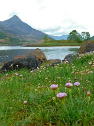 @WomenInTheHills have free places on a women's weekend in Glencoe. Preference for underrepresented groups. Apply here: womeninthehills.co.uk/network-events… @AbidaRafiq4 @AbilitiesB @Active_Bradford @MyLivingWell1 @bradford4better @WHN_BfdDistrict @MakeSpaceforGi1 @Muslim_Hikers @RunnersBlack