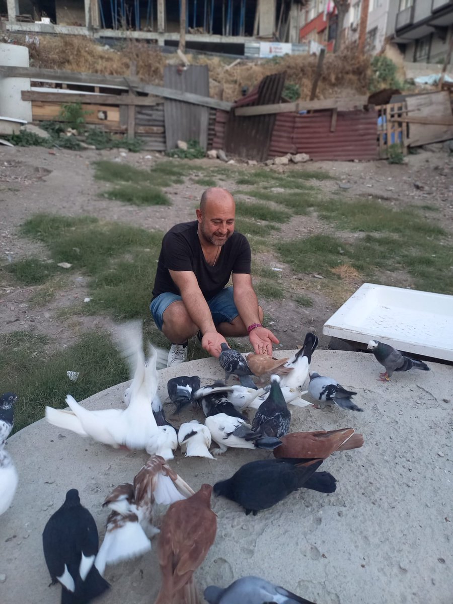 “İyilik, gönlü huzura kavuşturan ve içe sinen şeydir.” dedi Peygamberim (s.a.v.) “Kötülükse, insanlar onaylasalar dahi gönlünü huzursuz eden ve içinde bir kuşku bırakan şeydir.”
#DemediDeme