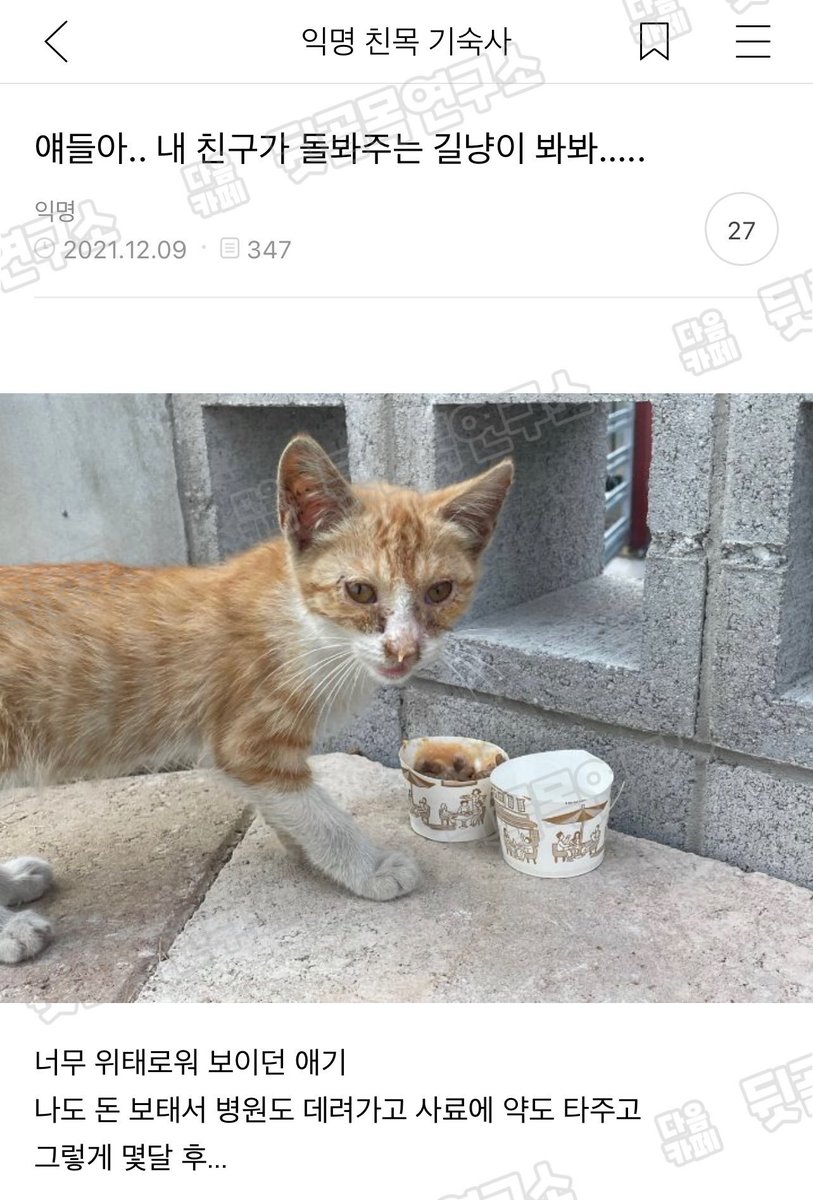 malrang_s_'s tweet photo. 얘들아.. 내 친구가 돌봐주는 길냥이 봐봐..... https://t.co/JetJYHUQfg