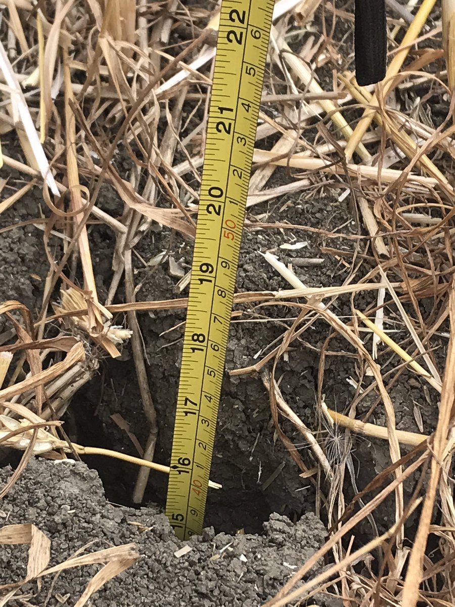 petehatley's tweet photo. Mother Nature saving me some money on metal! #harvest22 #drought #norainforecast #osr23nothappening https://t.co/4DOzYv8UJ0