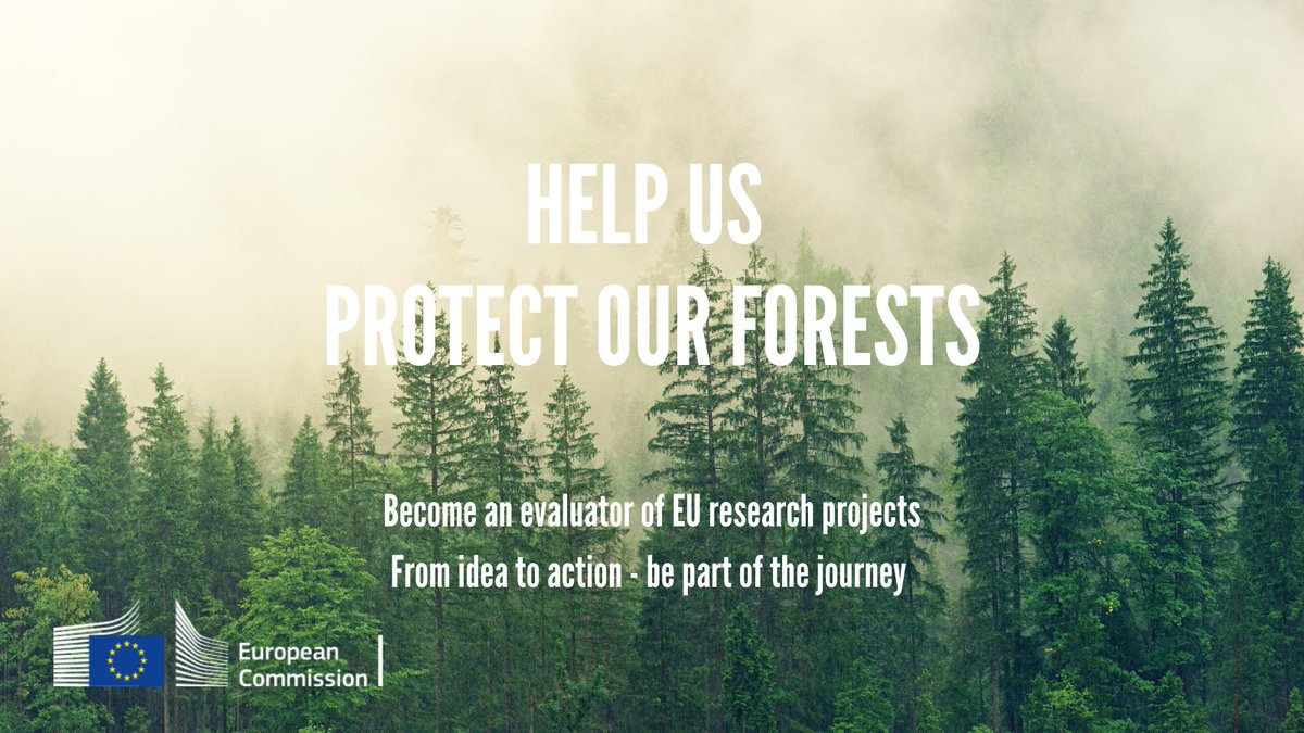 EUgreenresearch's tweet photo. Are you an expert in
#Sustainable #forest management
#Agroforestry
#Ecosystems
#wildfires prevention ?

Join our database and help us select the best ideas to restore and protect #EUForests !
➡️https://t.co/RkXHcYPGsv https://t.co/mN0b8WIMFY