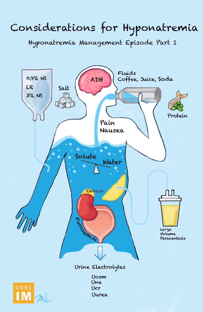 1/ 🚨 Hyponatremia Management Part 1: 
#5 Pearls Segment 🚨
 
🥤/❌ Fluids
🧂🧊 Solutes
🫘 Diuretics 
and SIADH workup!
 
🎧:   link.chtbl.com/HypoNaMgmtPt1
Show Notes:  bit.ly/3zoz6Zo
CME: bit.ly/CIMCME
Sponsor: go.amboss.com/CoreIM-E4