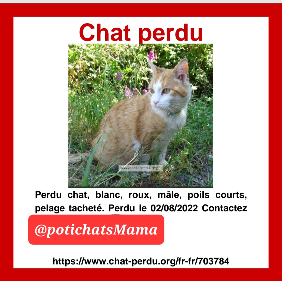 PotichatsMama's tweet image. Sivouplé besoin de soutine et de retouite 💔💔💔
Not' mhaine est trop malheureuse..